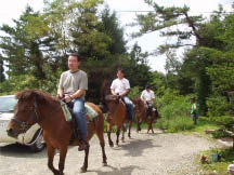 ���U����